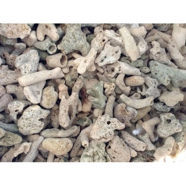 San Hô Vụn (4kg) vật liệu lọc cho bể cá, trang trí bể cá 