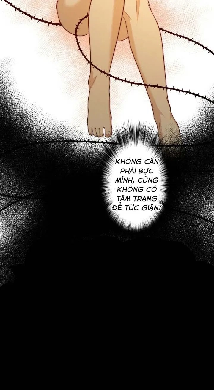 bí mật của omega k chapter 27 29