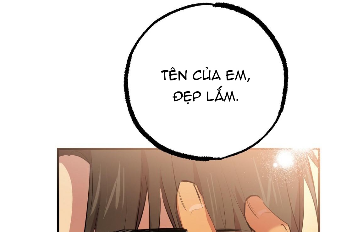 đàn thỏ của habibi chapter 24 216