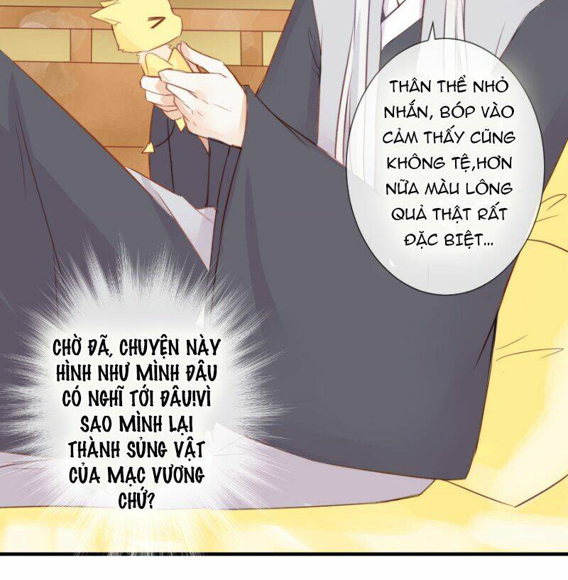 hôm nay ta cũng muốn trêu chọc nàng chapter 32 8