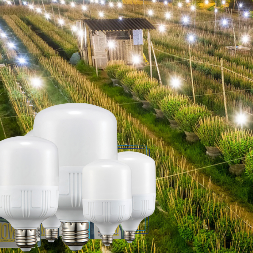 Bóng đèn Led Bulb 30W thân nhựa Vi-Light sáng trắng 6500K