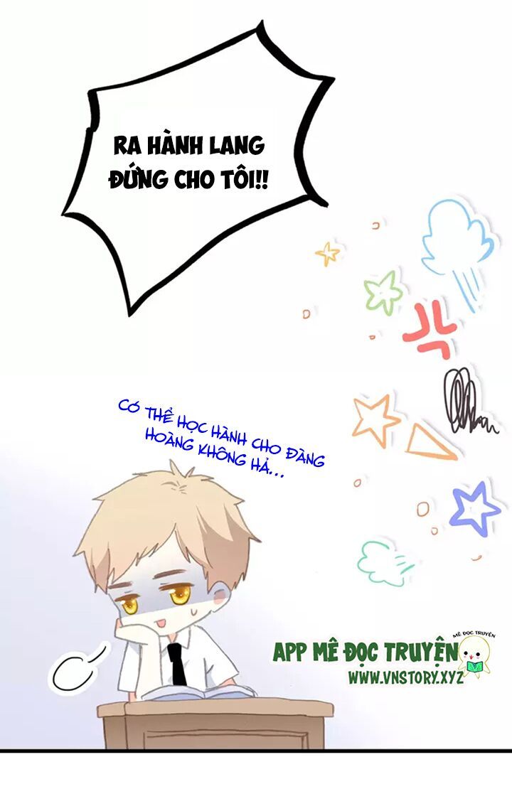 con tim rung động 2 chapter 2 24