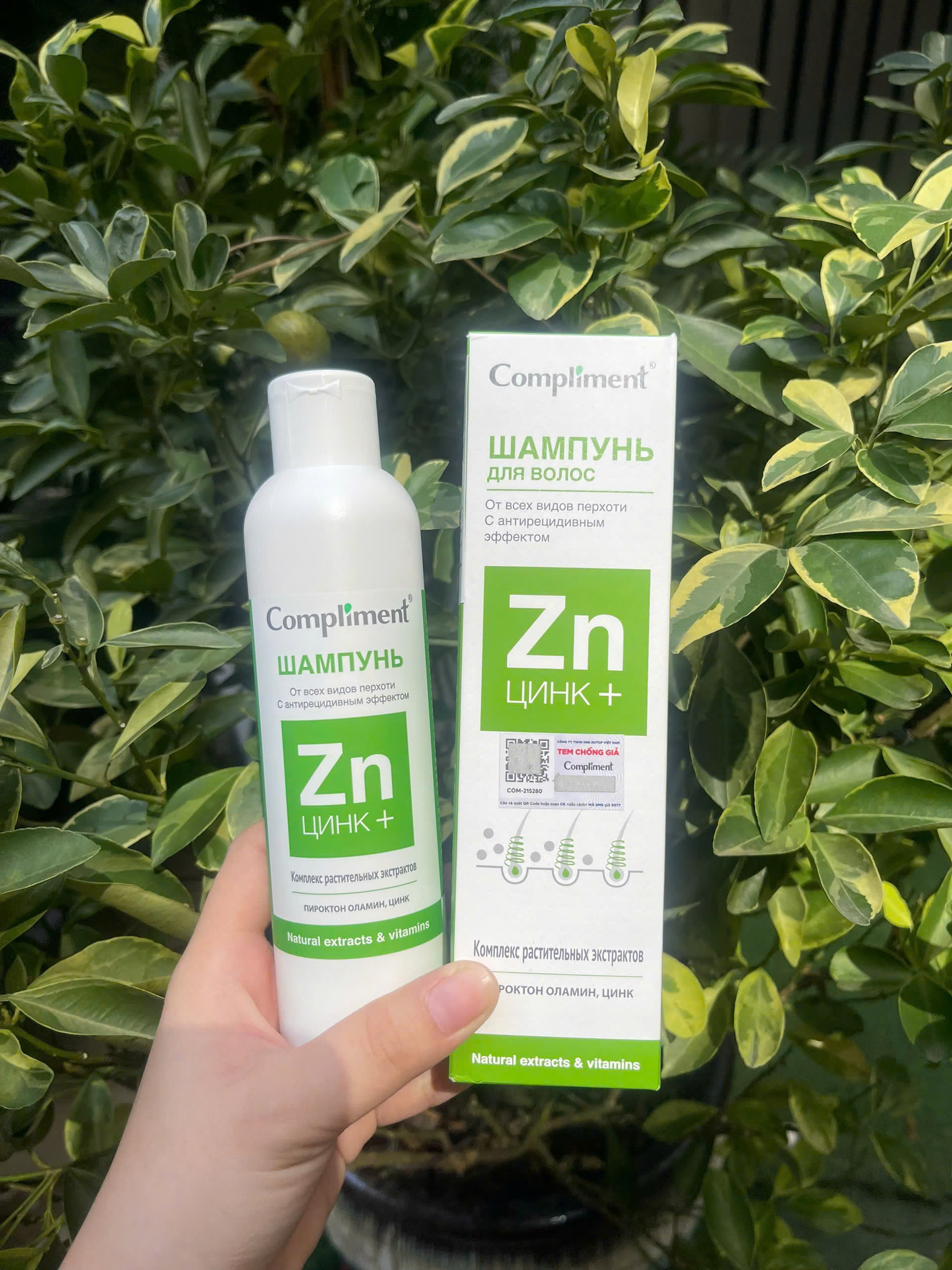 Dầu gội Zn Compliment ngăn gàu, giảm ngứa vẩy nến da đầu