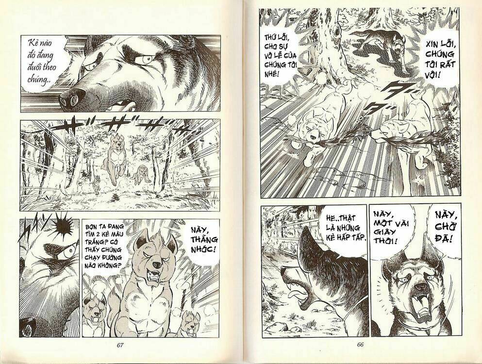 chú chó có nghĩa - ginga nagareboshi gin chapter 19 32