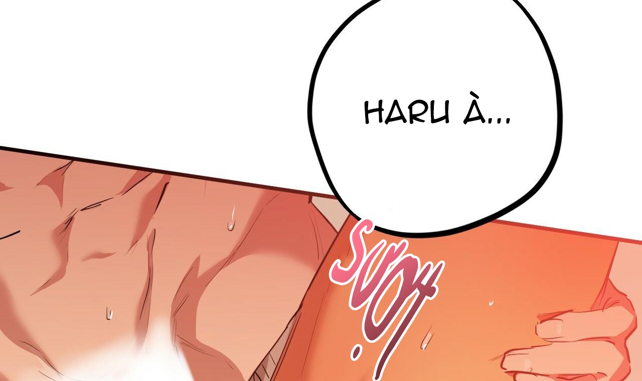 đàn thỏ của habibi chapter 25 210