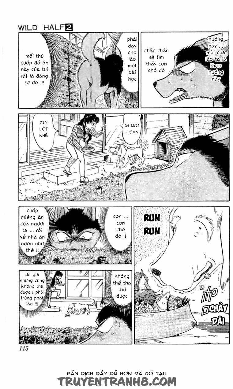 wild half chapter 12 7