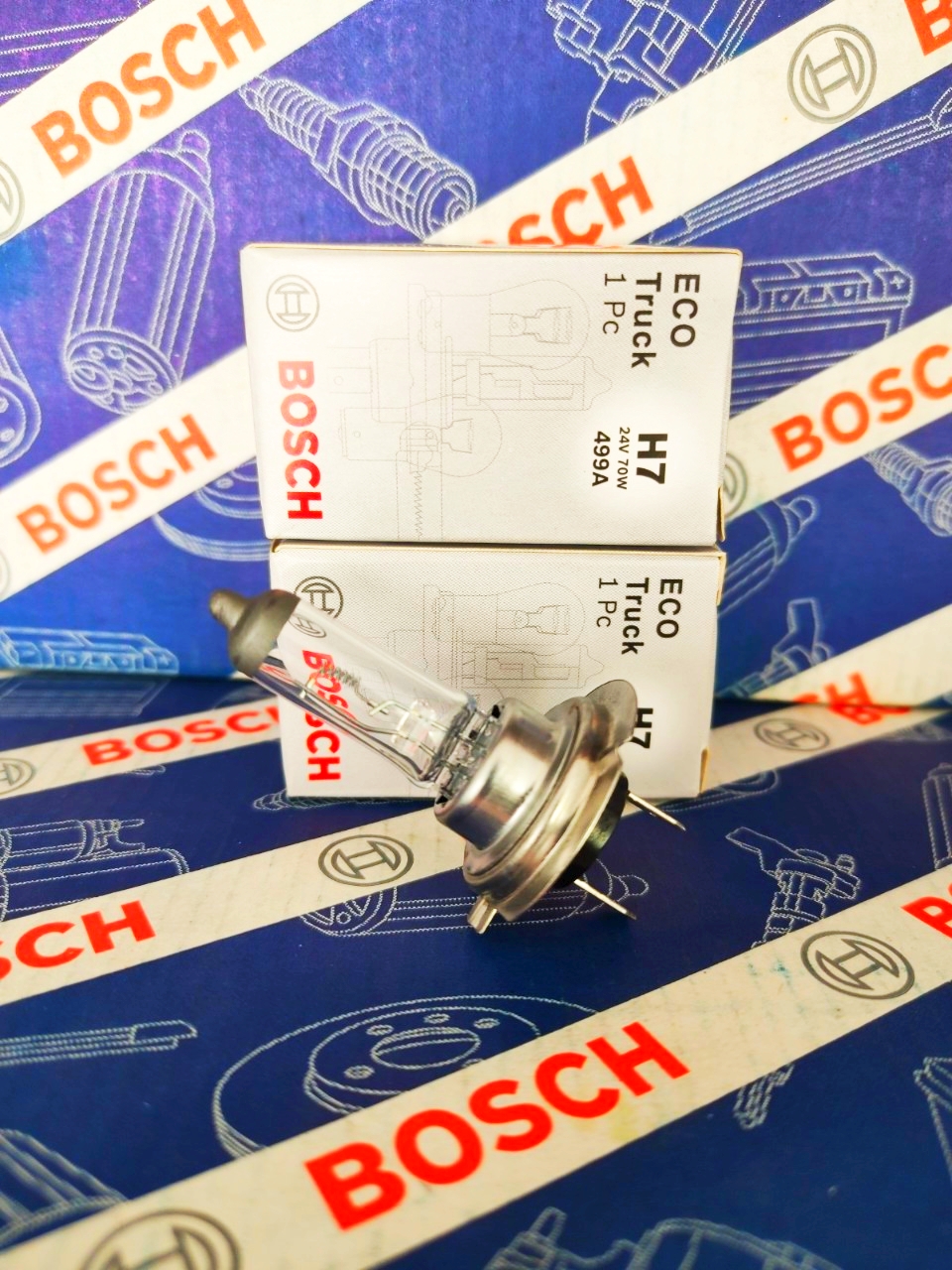 Bóng Đèn Xe Tải Bosch H7 24V 70W