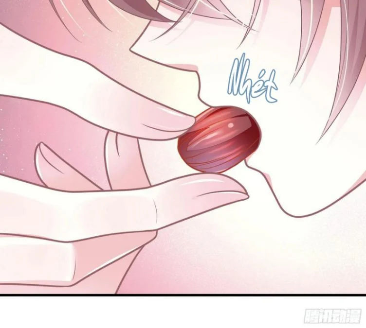 tôi nghi ngờ hệ thống thích tôi chapter 31 66