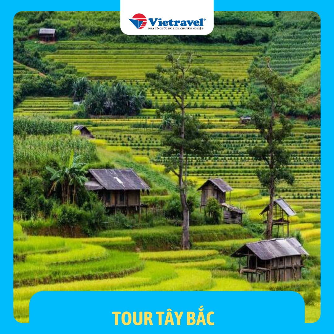 Tây Bắc: Hà Nội - Nghĩa Lộ - Tú Lệ - Mù Cang Chải - Sapa - Fansipan - Lai Châu - Điện Biên - Sơn La - Mộc Châu Island - Trải nghiệm cầu kính đi bộ dài nhất thế giới