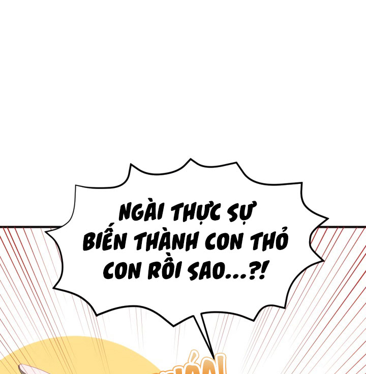 công chúa giả mạo và chú thỏ con chapter 2 30