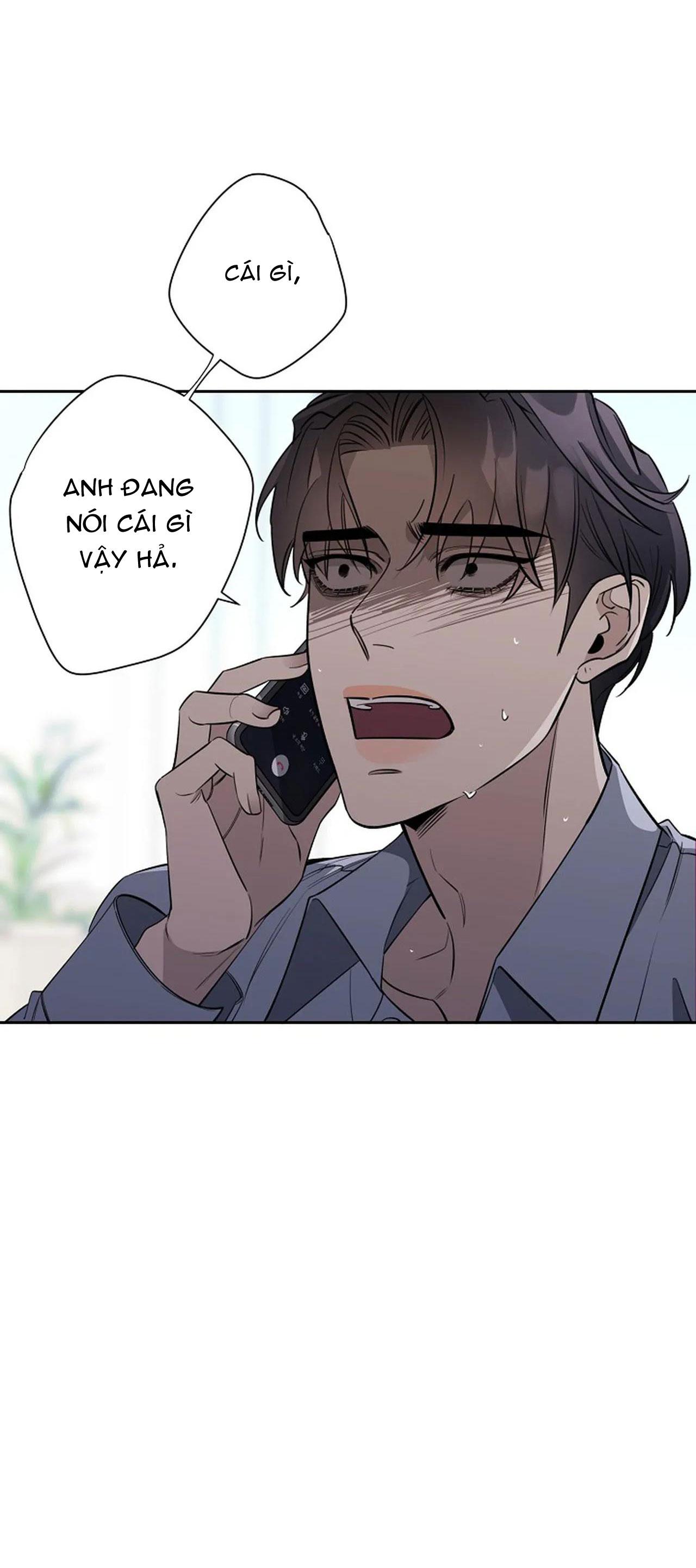 đêm dịu dàng chapter 41 29