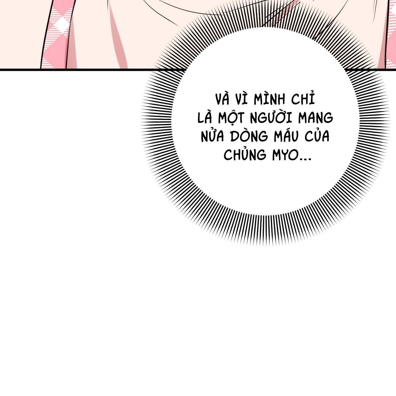 những chú thỏ của hapypy chapter 17 111