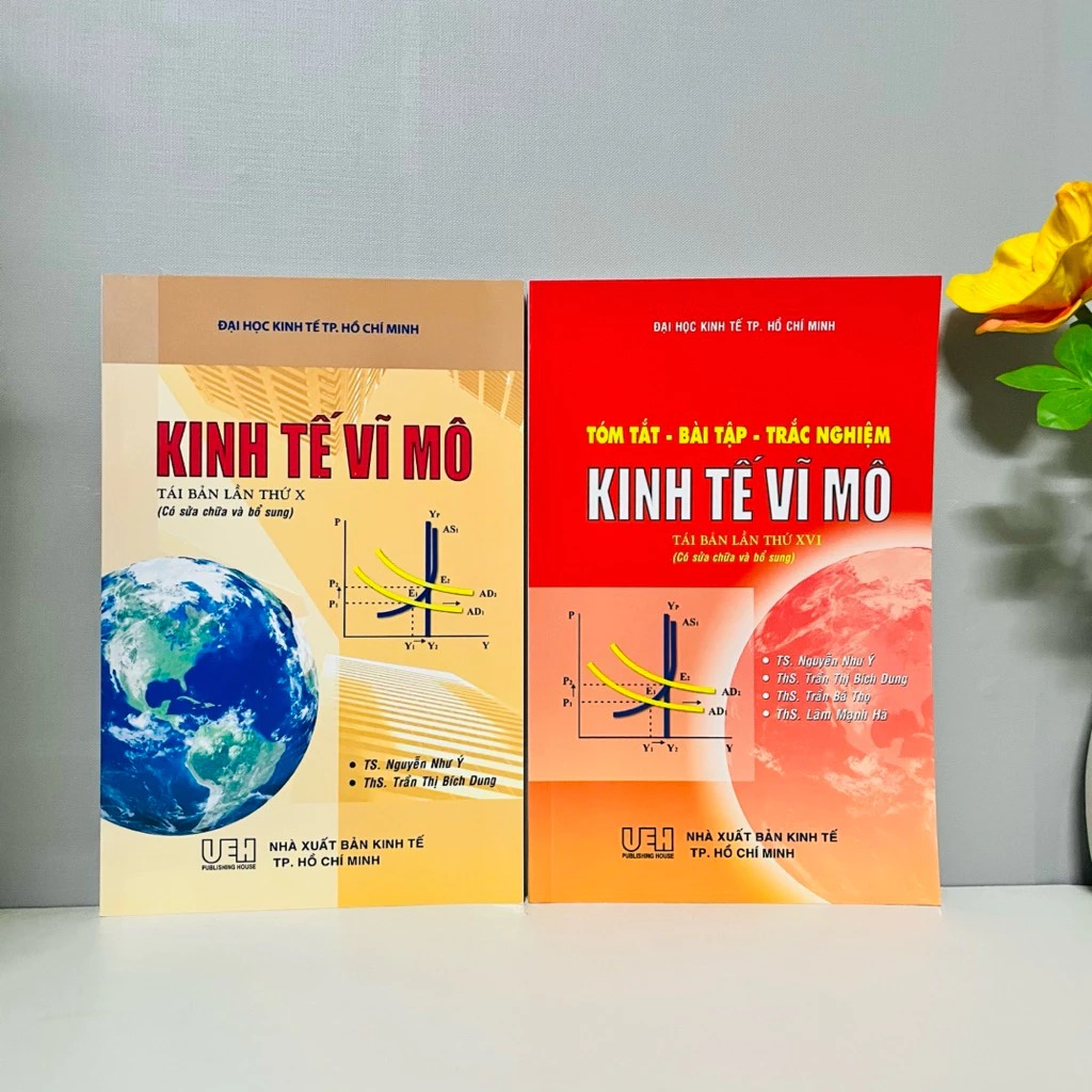 Sách - Combo Kinh Tế VĨ MÔ (Lý Thuyết + Bài Tập) - Trường ĐH Kinh Tế TP. Hồ Chí Minh