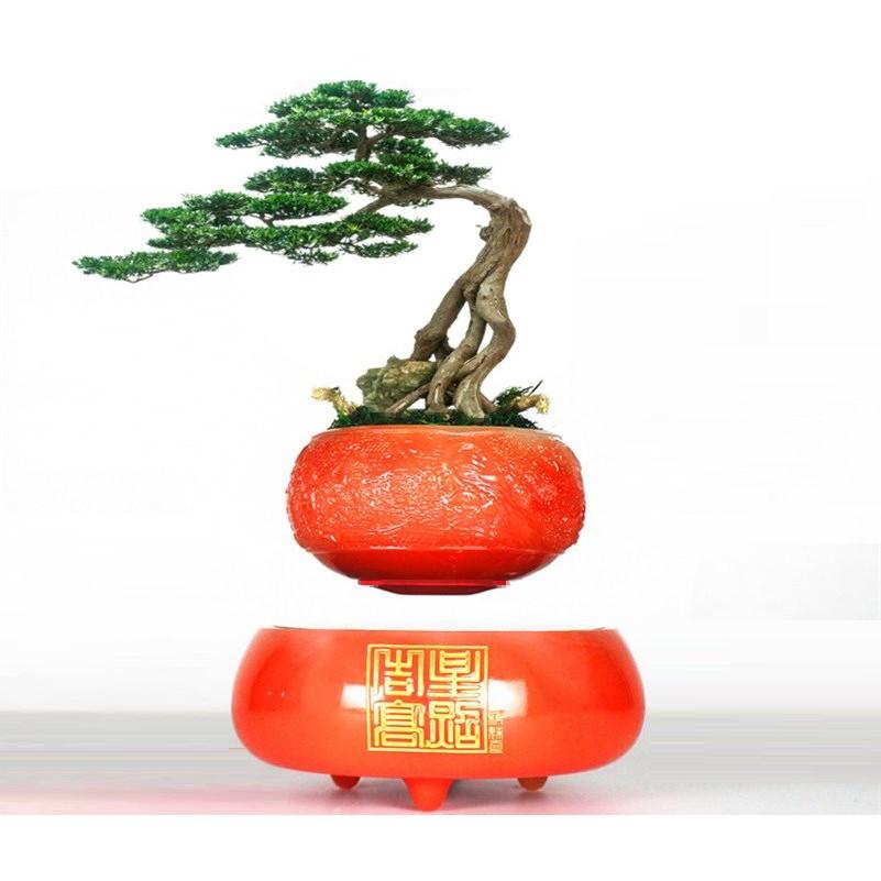 Chậu cây bay Bonsai từ tính trang trí phòng khách phòng làm việc làm quà tặng độc lạ ý nghĩa