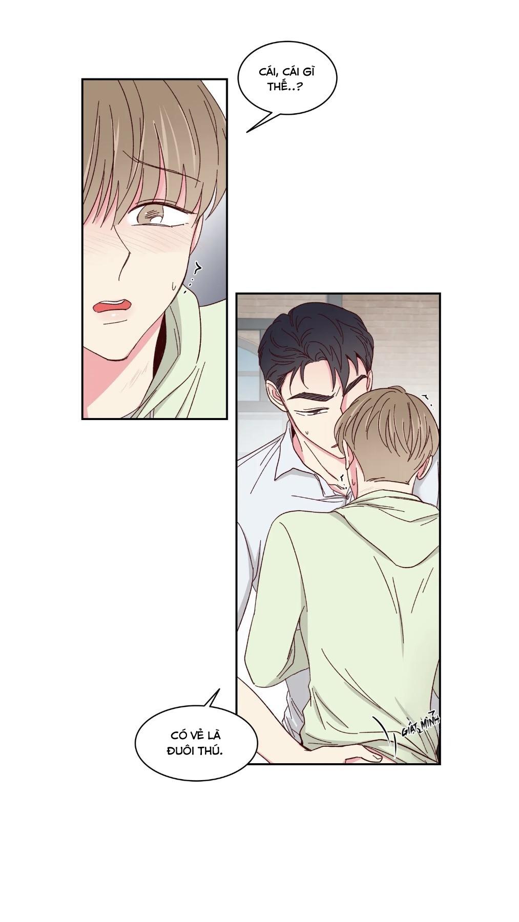 món tráng miệng của sếp tổng chapter 59 14