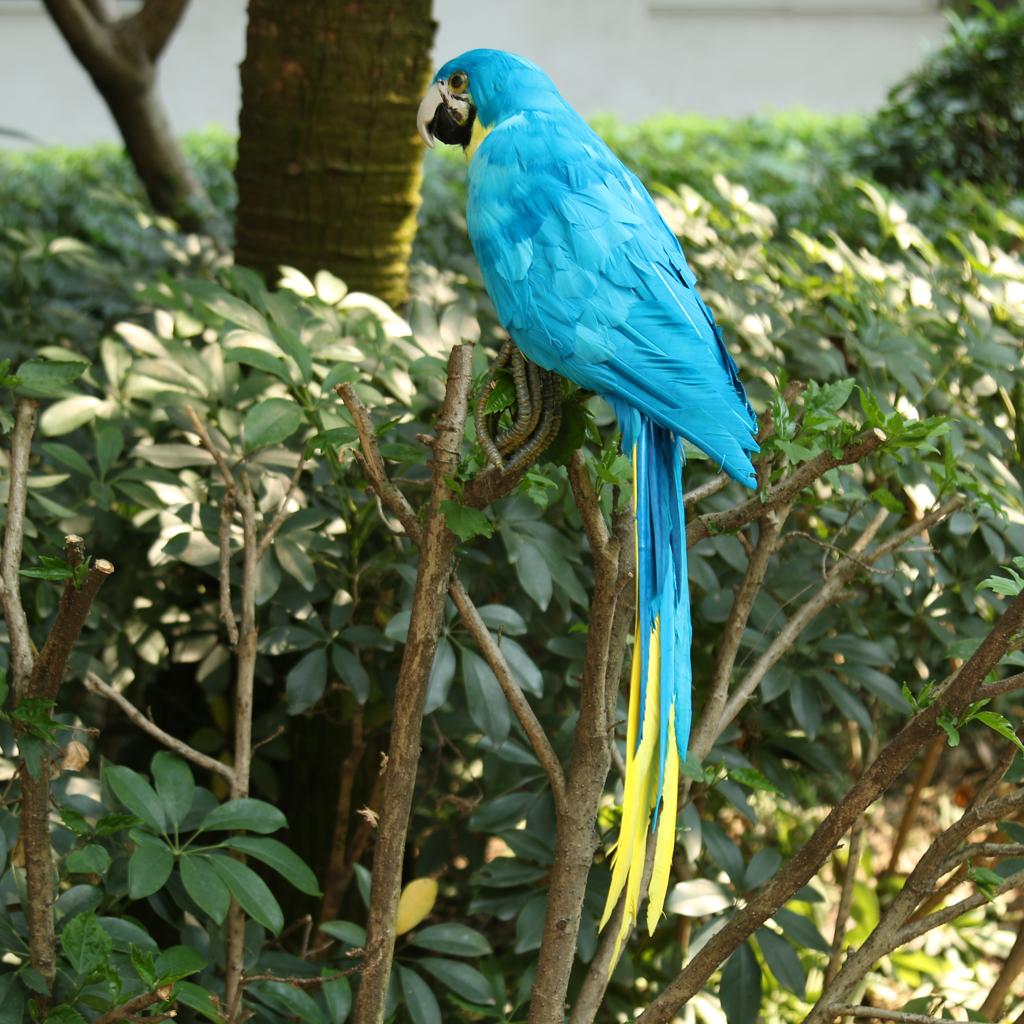 Lông Vũ Nhân Tạo Xanh Chim Vẹt Thủ Công Taxidermy Nhà Nghệ Thuật Trang Trí Vật Trang Trí