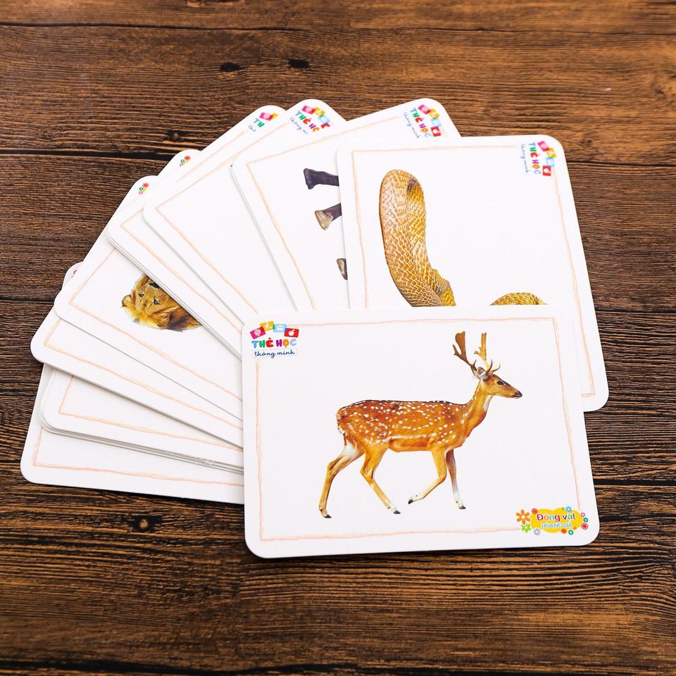 Thẻ Học Flashcards Chủ Đề Các Loại Quả