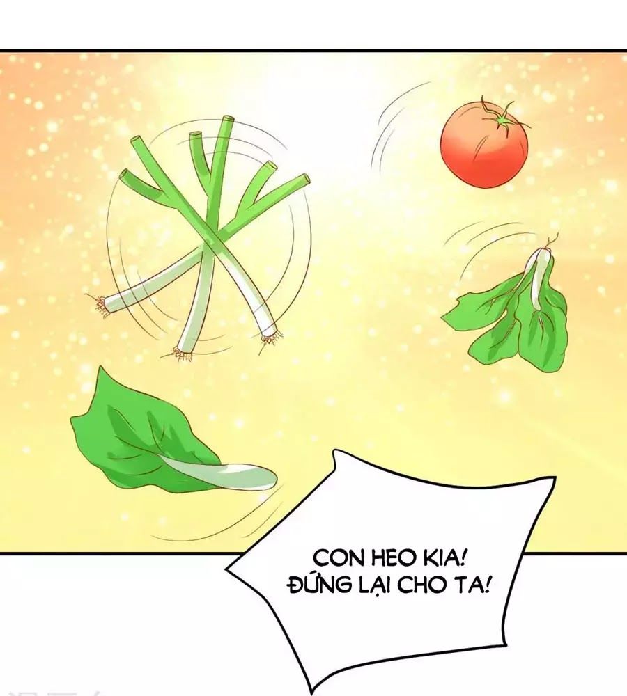 từ đây vương gia không thượng triều sớm chapter 86 24