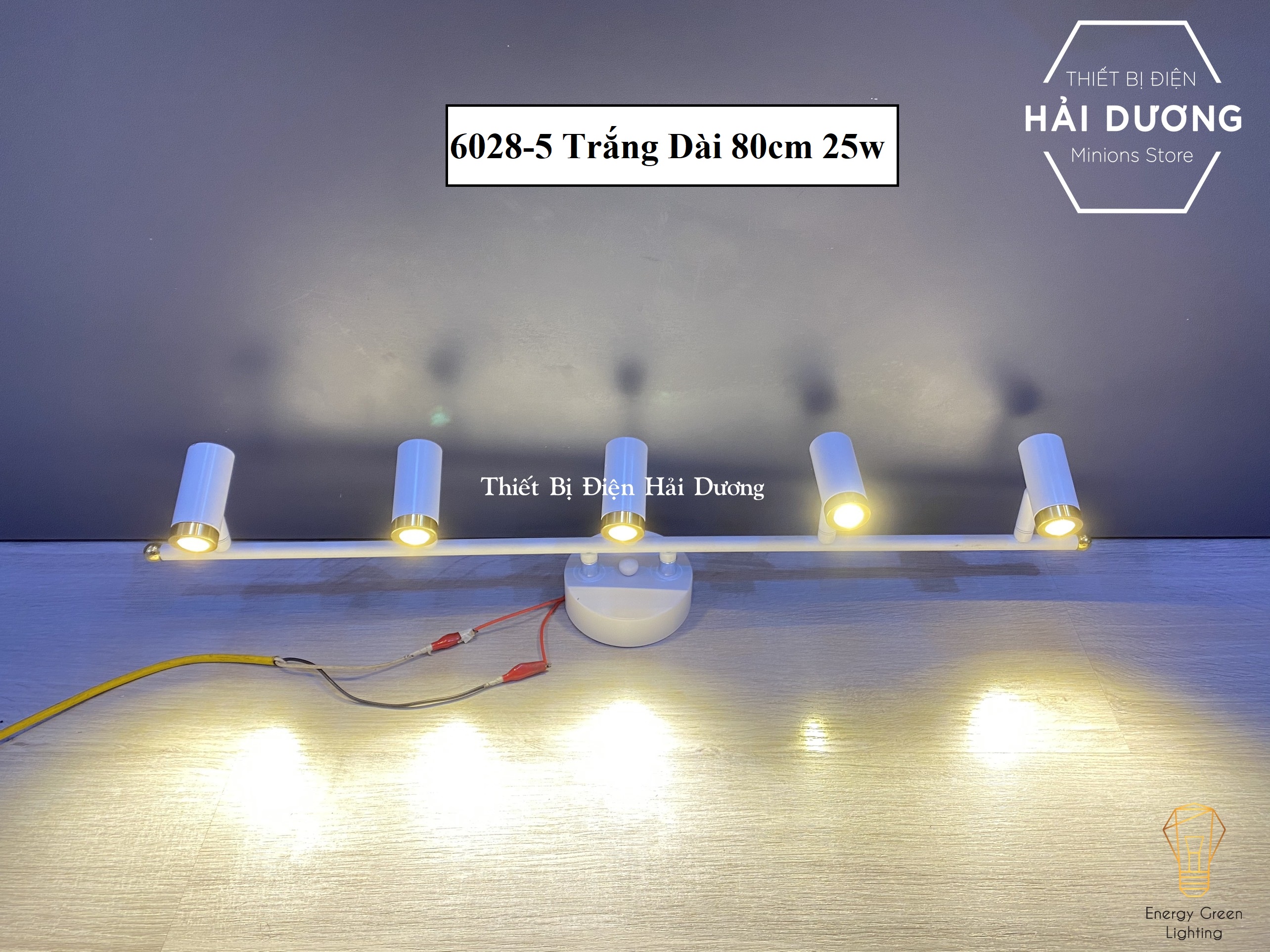 Đèn soi tranh 6028-5, 3268-5 LED Trang Trí Hiện Đại - Ánh Sáng Vàng - Điều Chỉnh Được Góc Chiếu