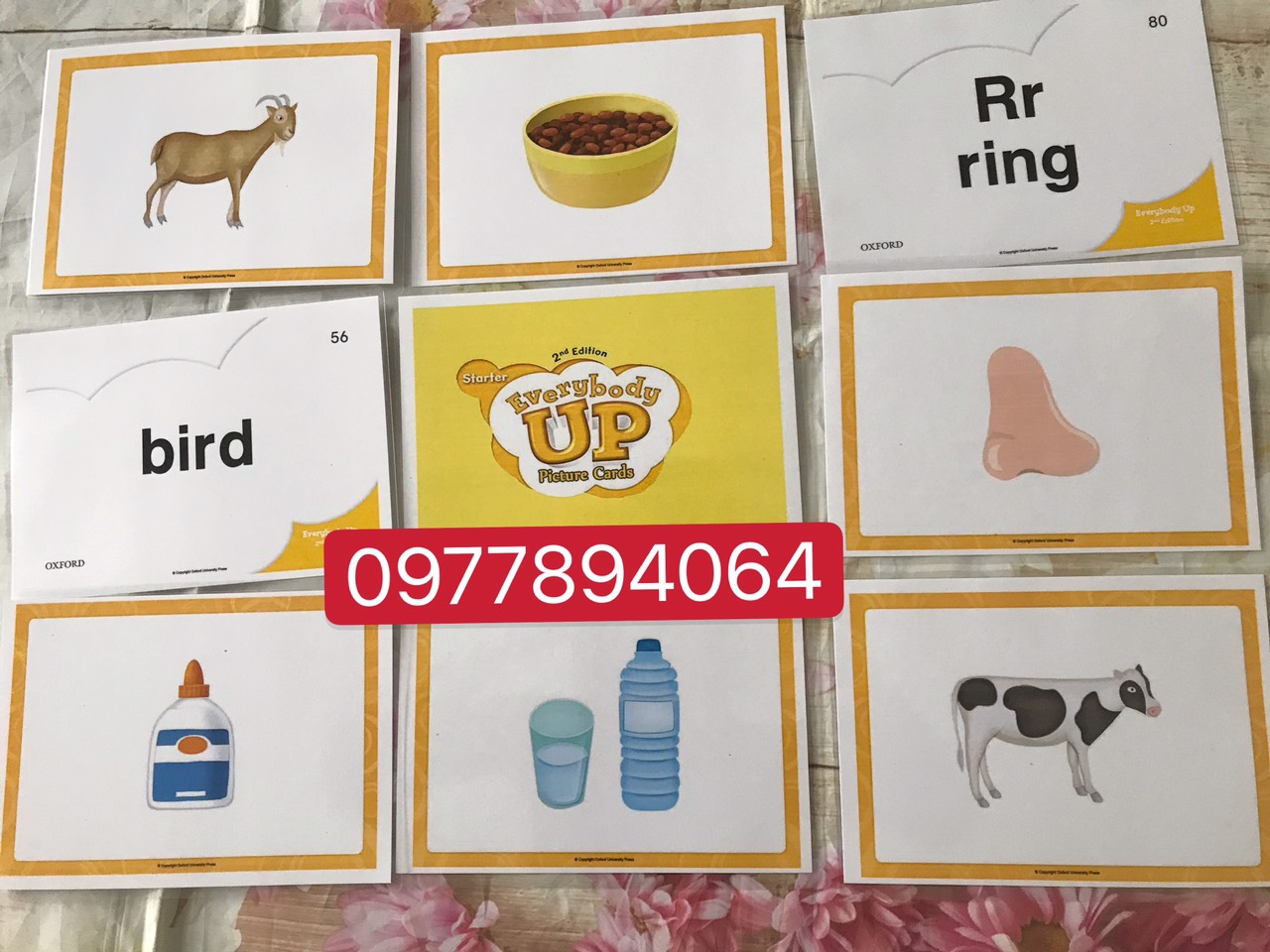 Flashcard Tiếng Anh cho giáo trình Everybody up starter