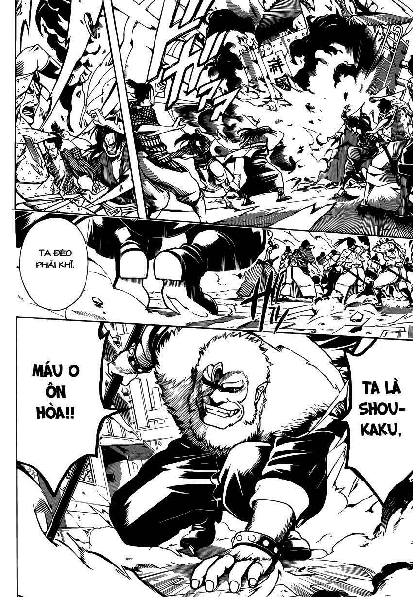 gintama - linh hồn bạc chapter 562 4