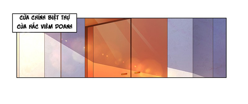 phúc hắc tổng tài đừng tới đây chapter 53 20