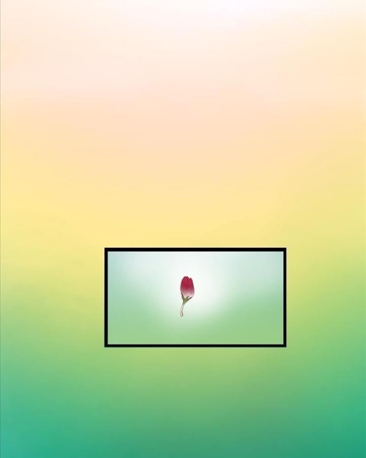 truyện cổ tích trong lòng mèo chapter 0 73