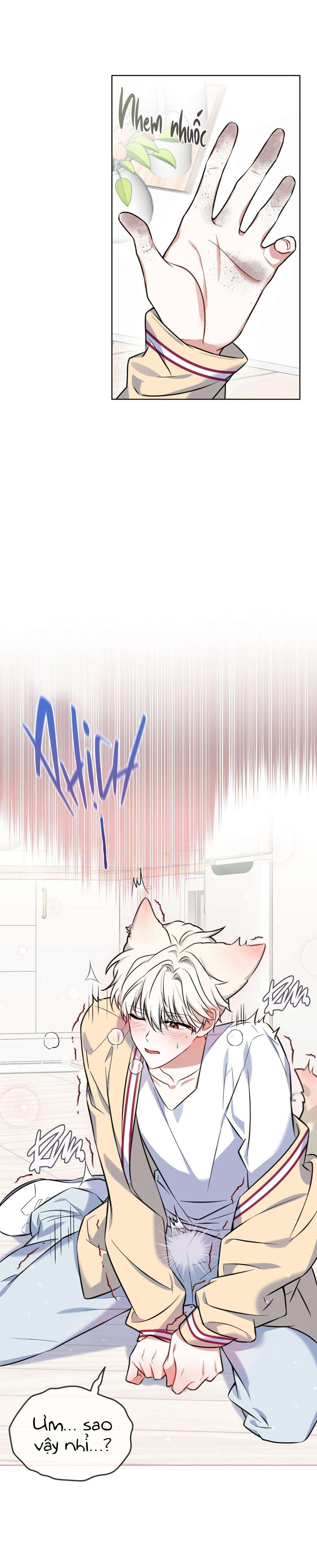 tiệm đồ uống cáo nhỏ chapter 2 6