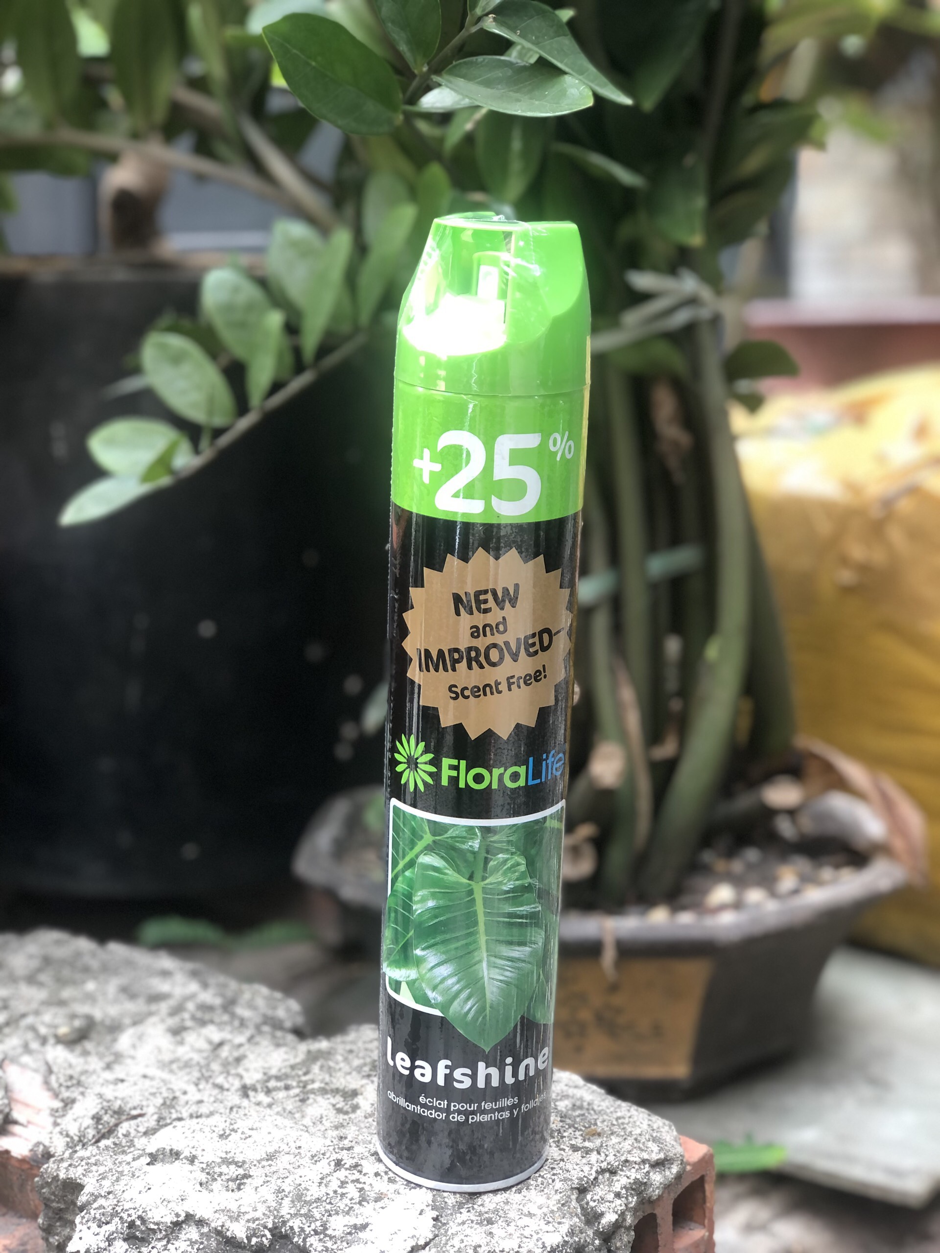 XỊT BÓNG LÁ FLORALIFE TỪ MỸ