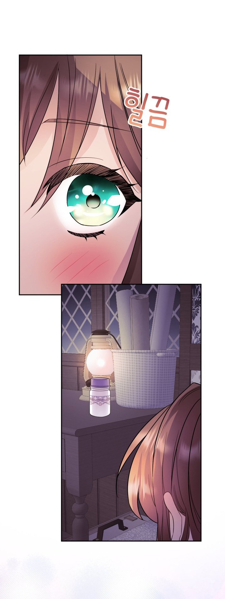 [18+] nếu cứu rỗi một cầm thú hư hỏng chapter 5.2 5