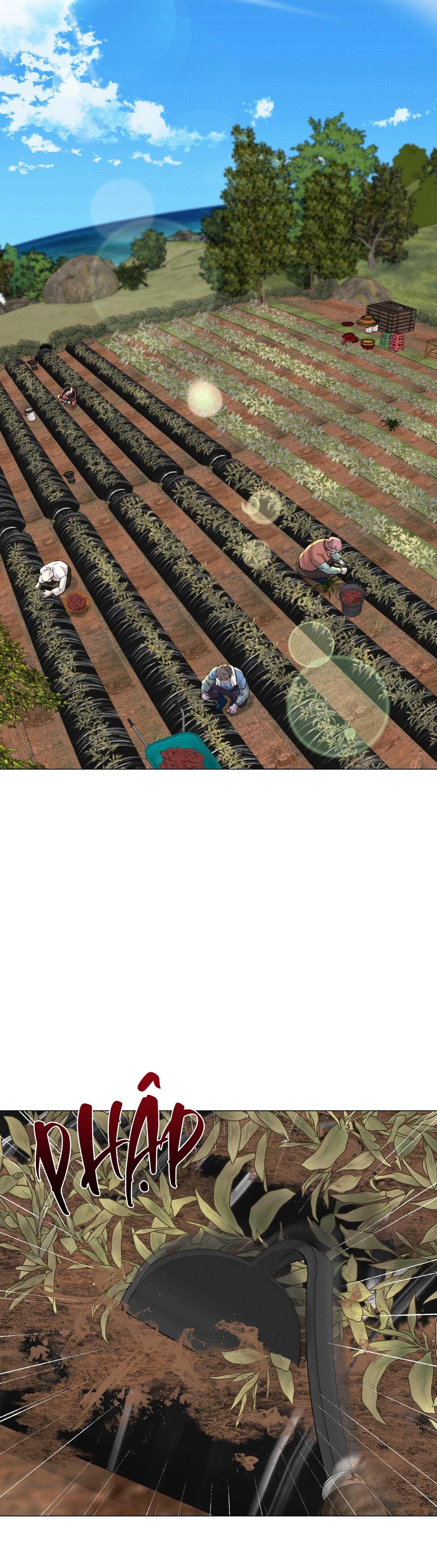 em bé và đại ca chapter 28 26