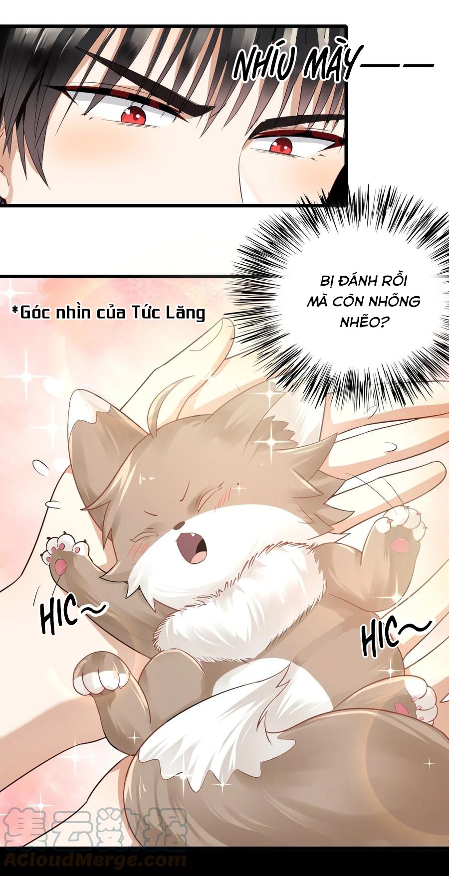 tức thời phạm quy [ tức thì vi quy ] chapter 25 14