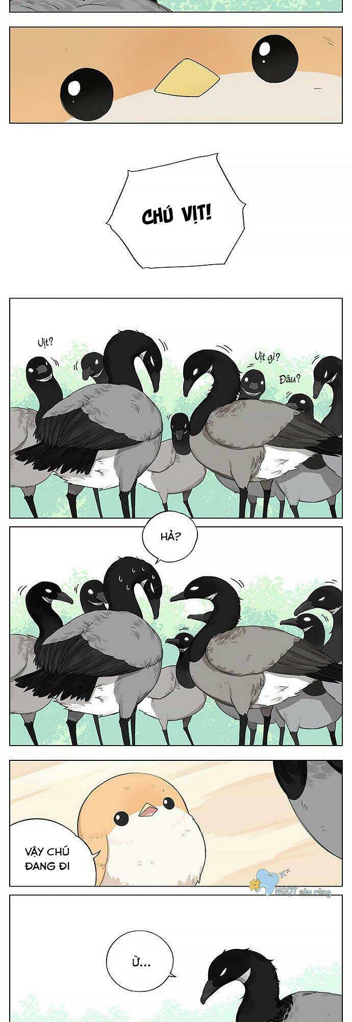 chim sẻ gọi ngỗng trời chapter 19 3
