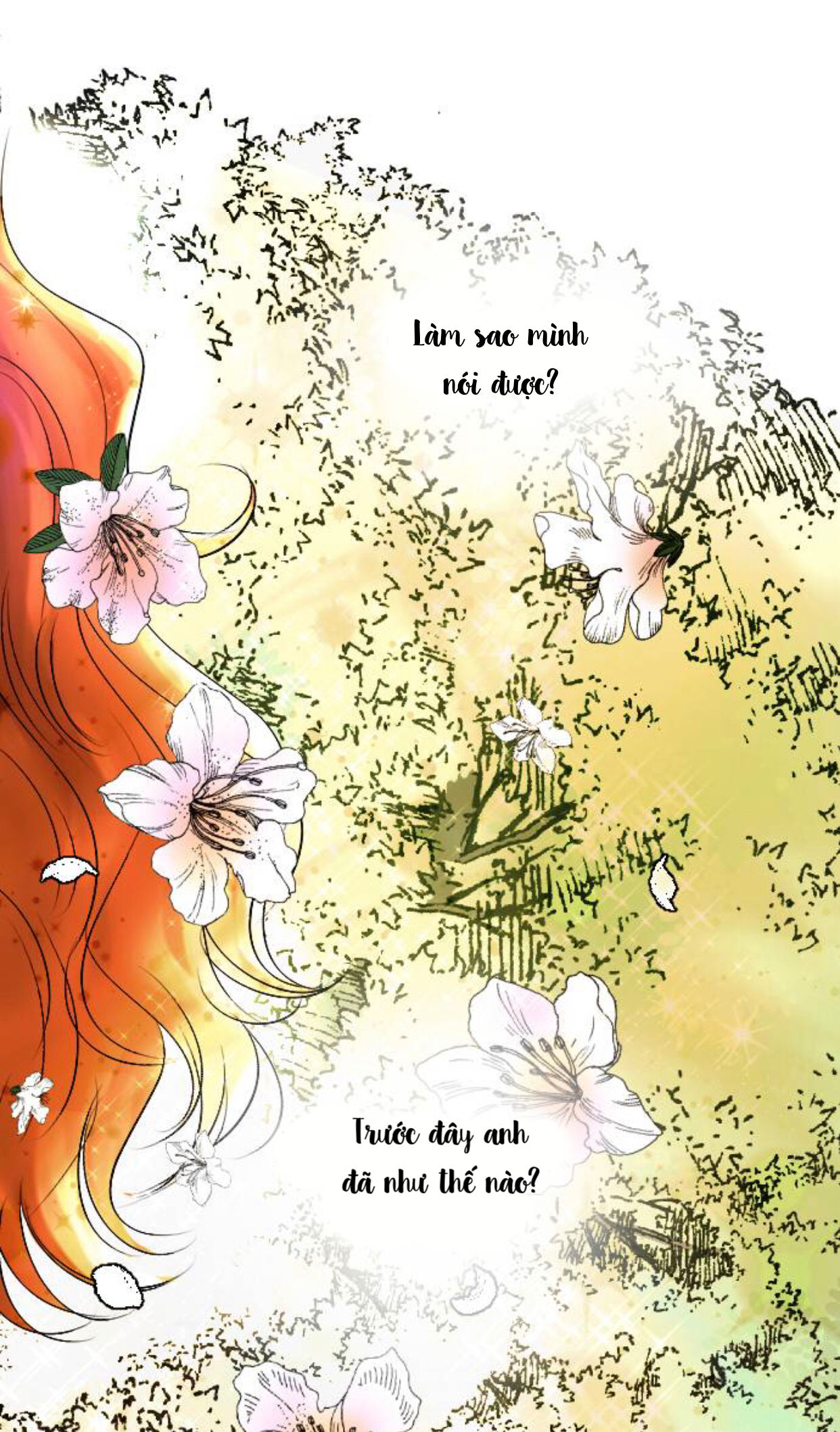 lựa chọn cuối cùng của tôi là nam phụ chapter 9 24