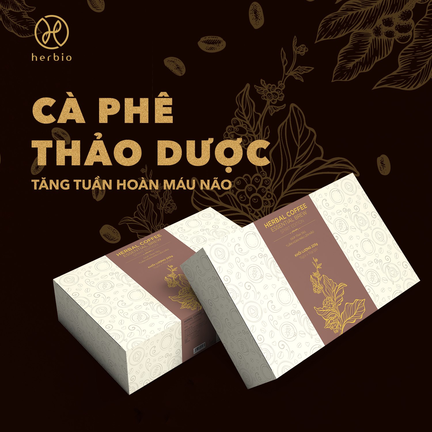 Cà phê nguyên chất rang mộc Herbal Coffee Herbio - kết hợp 5 loại thảo dược giúp tỉnh táo, tuần hoàn máu não - Hộp 15 phin túi lọc x 15gr