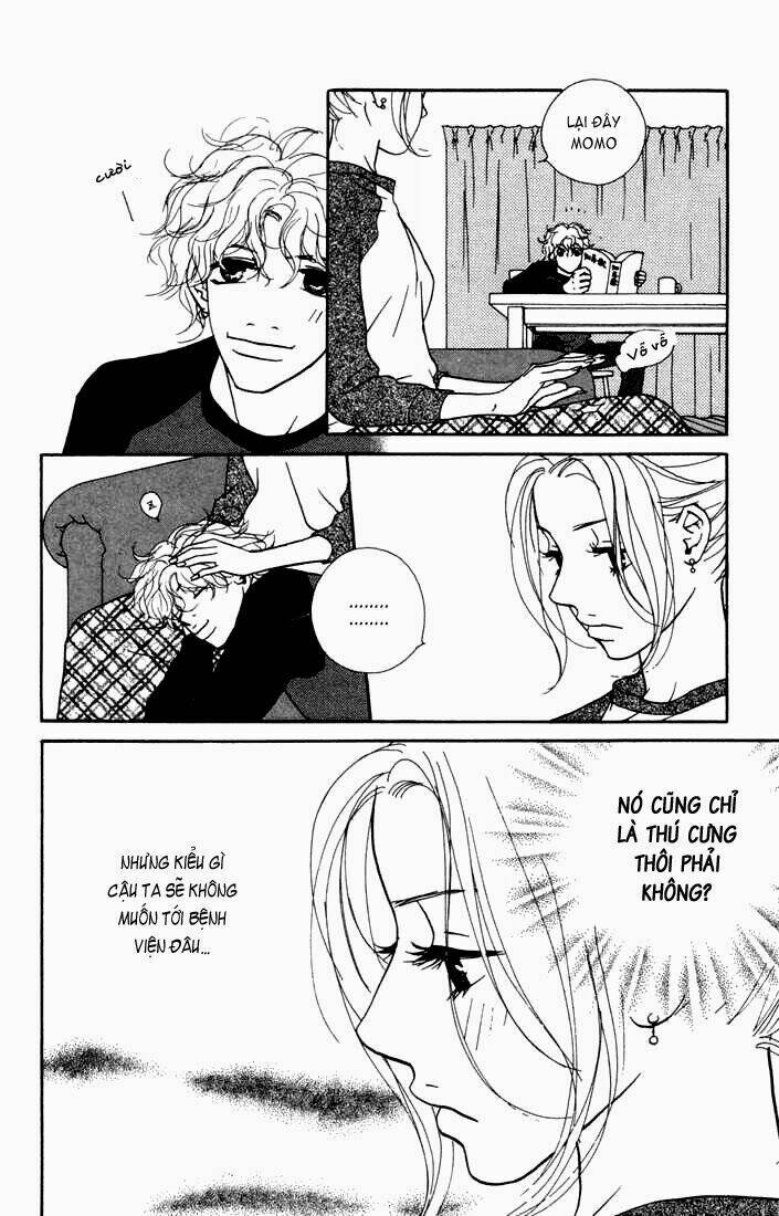 kimi wa petto chapter 8 23