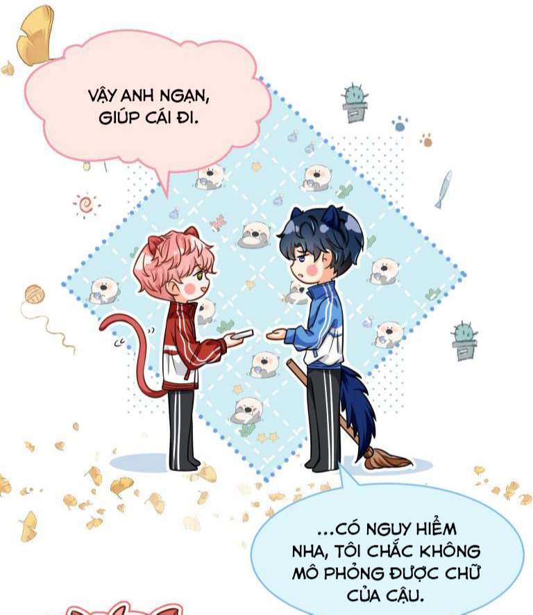 tín tức tố nói chúng ta không thể chapter 40 52