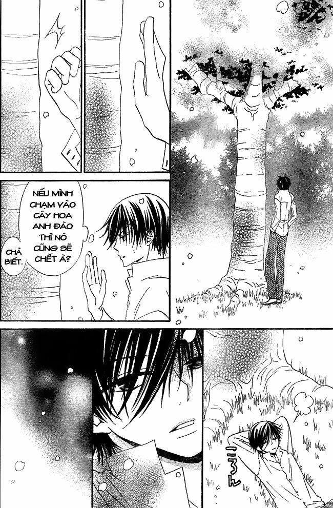 hoa và ác ma chapter 33 20