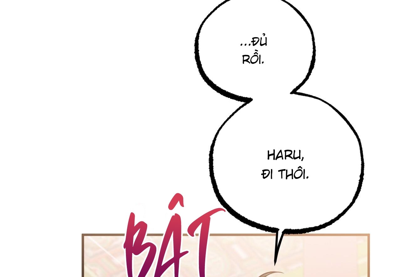 những chú thỏ của hapypy chapter 62 168