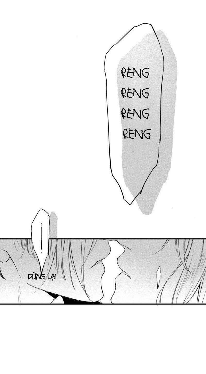 circle chapter 11 22