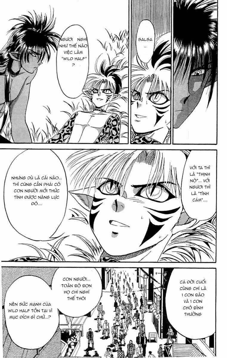 wild half chapter 19 17