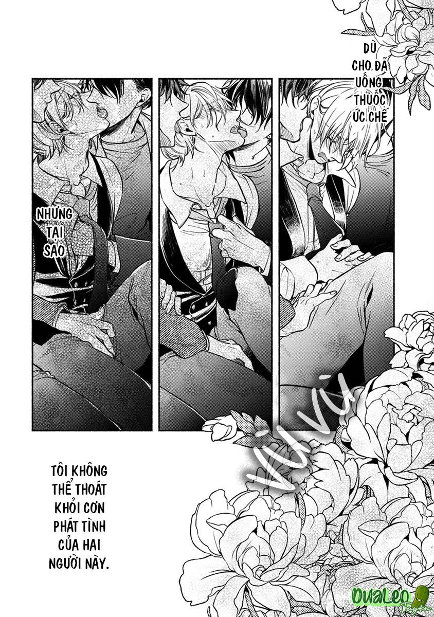 omega giả vờ kiên cường đó là bạn tình của tôi chapter 1 29