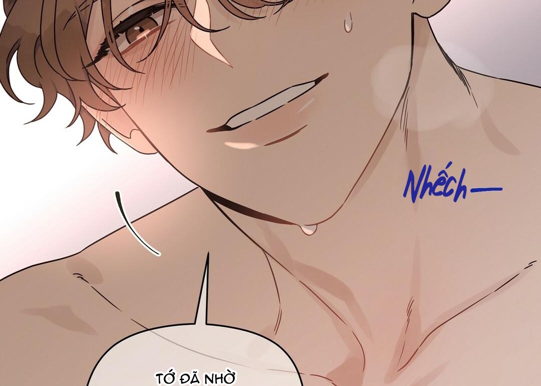 phức cảm tự ti của omega chapter 19 182