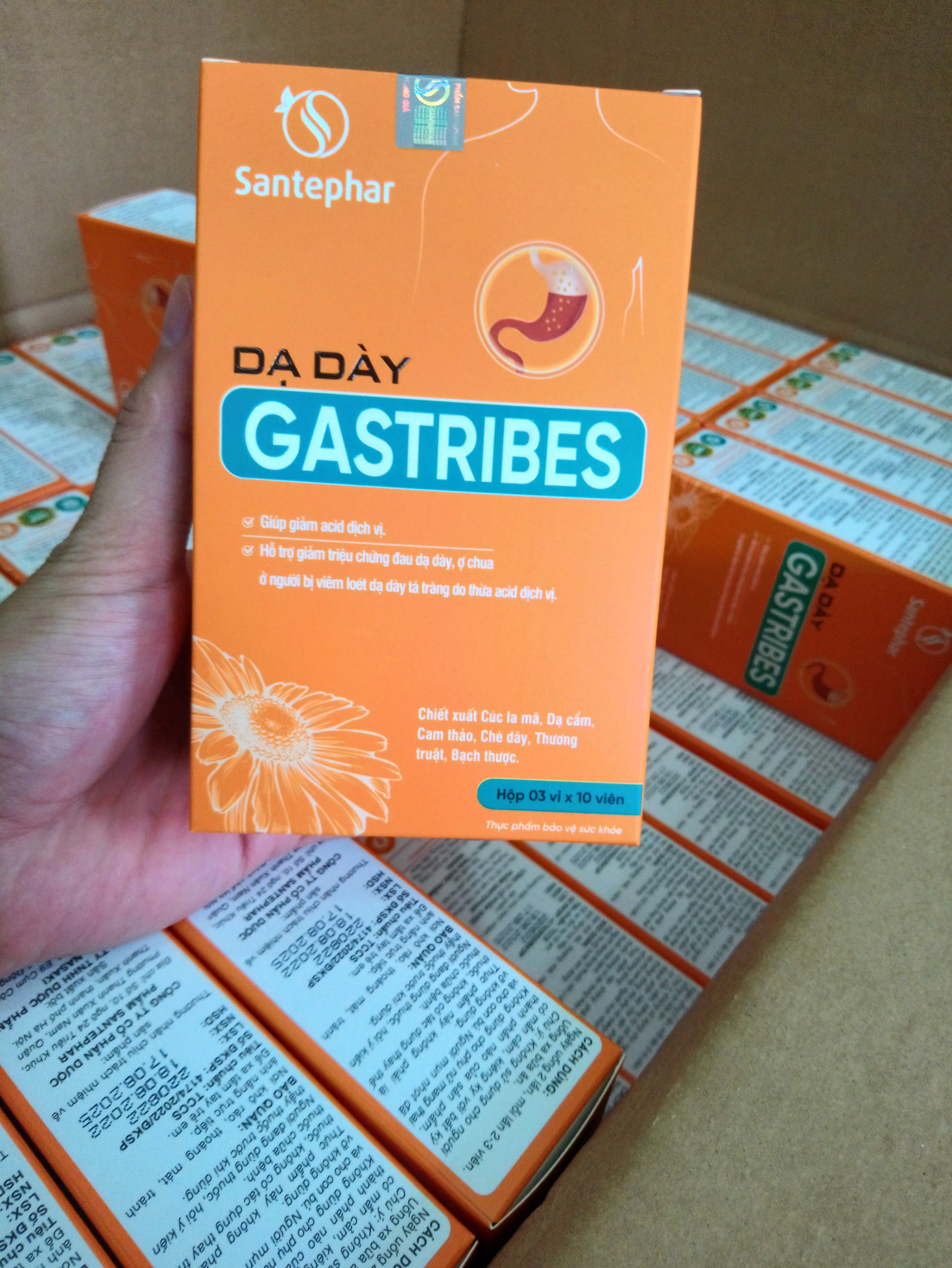 Dạ dày Gastribes - Sản phẩm hỗ trợ điều trị viêm loét dạ dày tá tràng hoàn toàn từ thiên nhiên