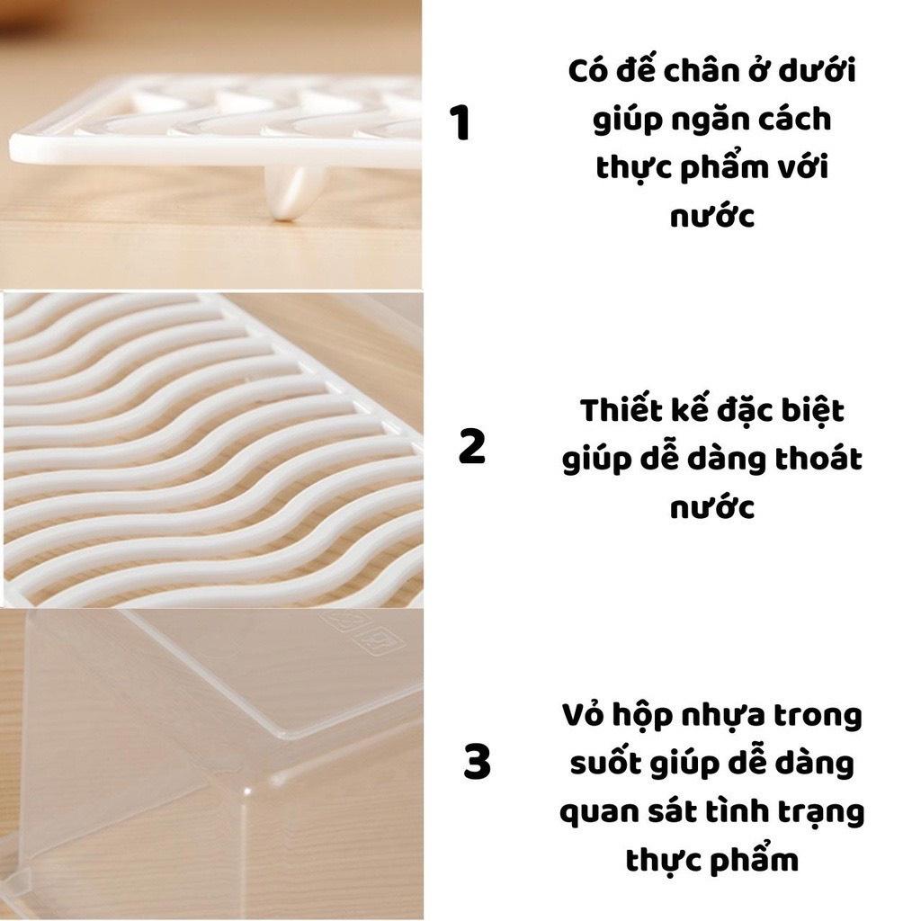 Hộp đựng thực phẩm có nắp đậy kèm khay ráo nước chất liện nhựa thực phẩm an toàn cho sức khỏe tiện lợi