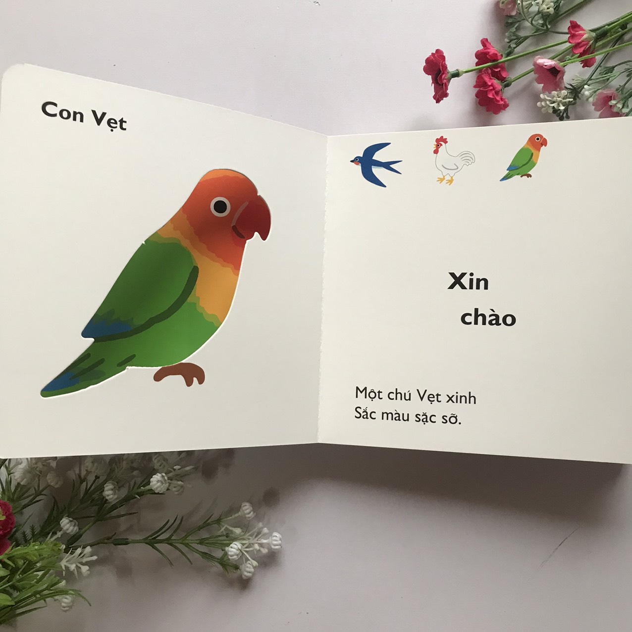 Cùng Chơi Trốn Tìm - Tập 9 : CÁC LOÀI CHIM