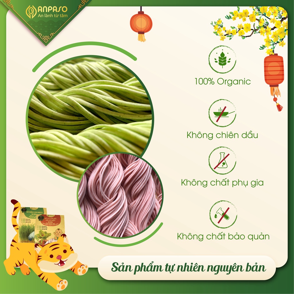 Mì Rau Củ 100% Organic Ngũ Sắc Ngũ Vị Anpaso Ngon Sạch 1KG - Cung Cấp Nhiều Vitamin, Giàu Sắt, Protein Thực Vật, Chất Xơ, Tốt Cho Sức Khỏe, Tăng Cường Hệ Miễn Dịch, Hỗ Trợ Tiêu Hóa - Người Tập Gym và Yoga, Ăn Kiêng, Ăn Chay, Giảm Cân, Eat Clean