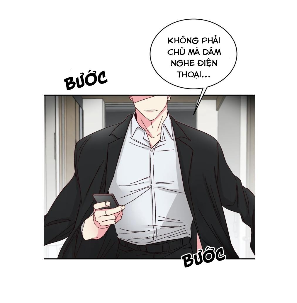 món tráng miệng của sếp tổng chapter 57 44