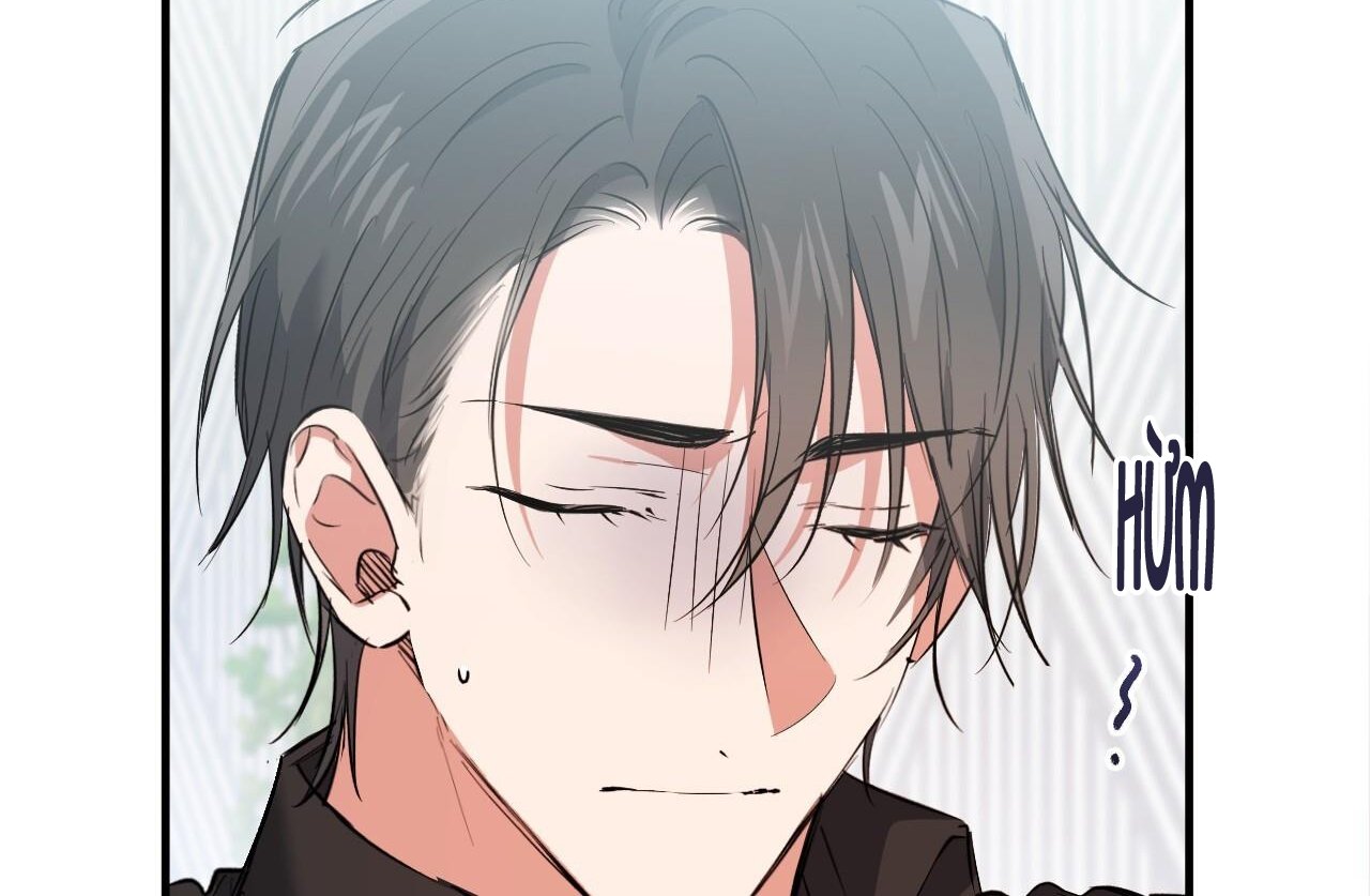 những chú thỏ của hapypy chapter 61 27