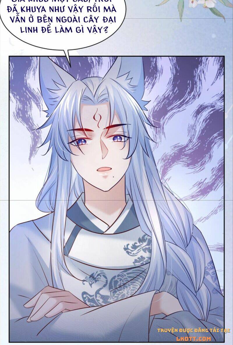 hắc hóa nam chính trực tuyến nuôi thỏ chapter 46 7